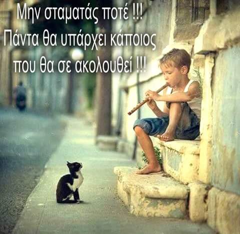 FB_IMG_1504133826908.jpg
