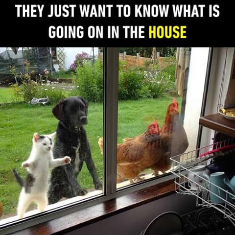 FB_IMG_1504550088940.jpg