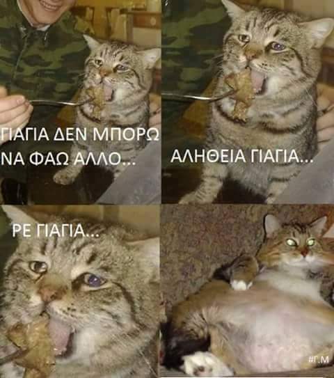 FB_IMG_1504289411941.jpg