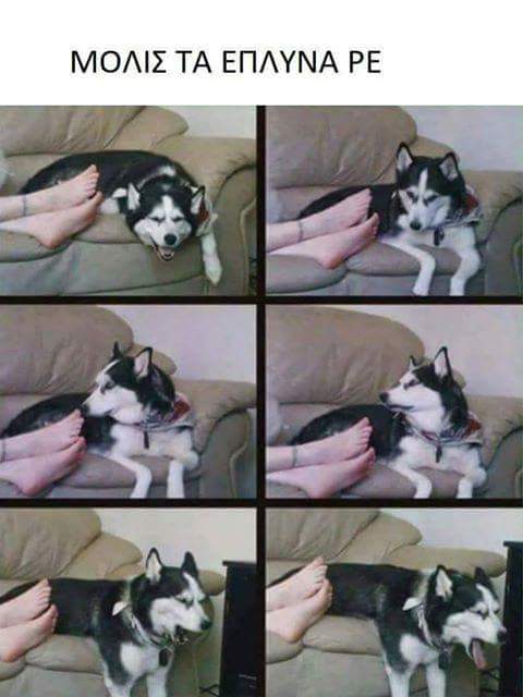 FB_IMG_1505130920142.jpg