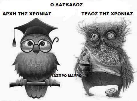 FB_IMG_1505131250890.jpg