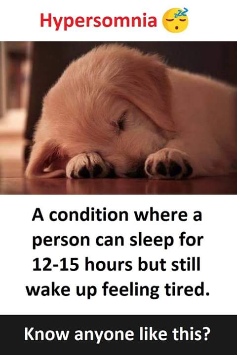 FB_IMG_1505910596128.jpg