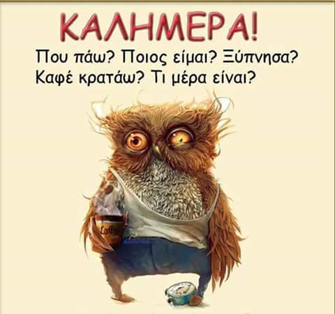 FB_IMG_1506014461321.jpg