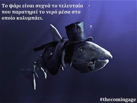 FB_IMG_1506192730202.jpg