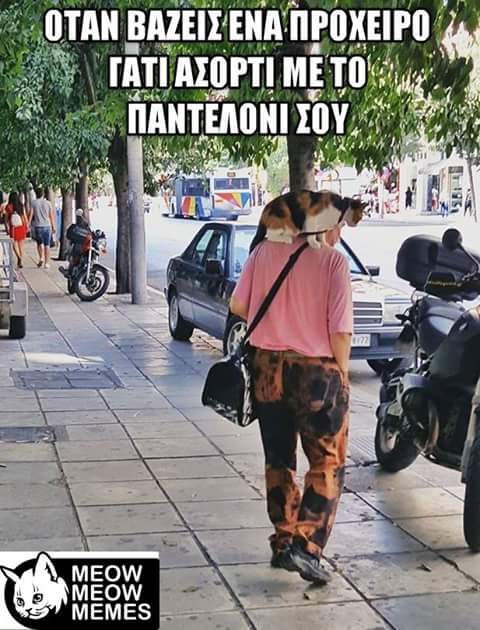 FB_IMG_1506325244728.jpg