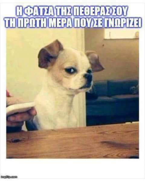 FB_IMG_1506850751731.jpg