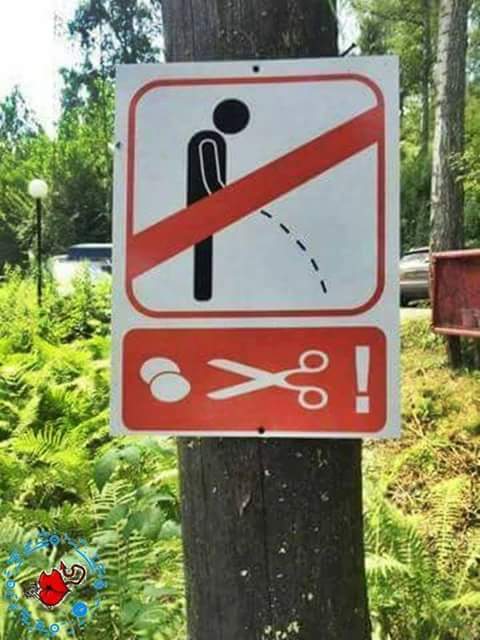FB_IMG_1506947302750.jpg
