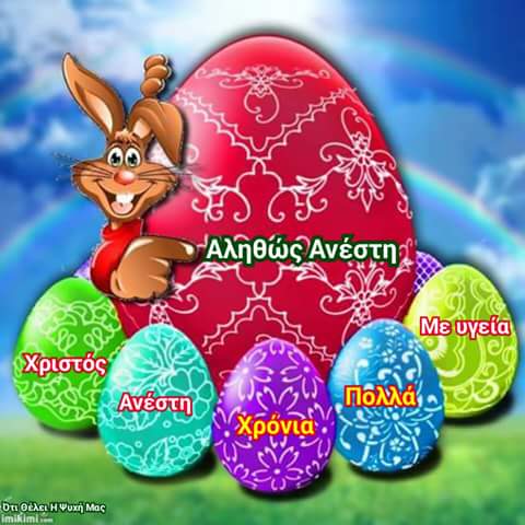 FB_IMG_1492328769510.jpg