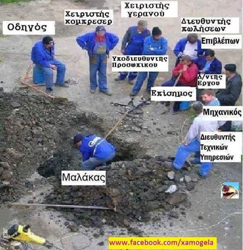 FB_IMG_1507984096971.jpg