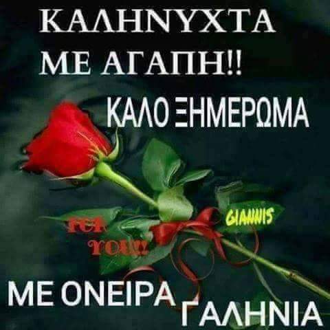 FB_IMG_1508190692385.jpg