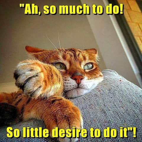 FB_IMG_1513861692687.jpg