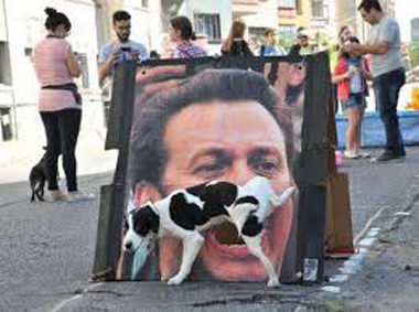 images2.jpg