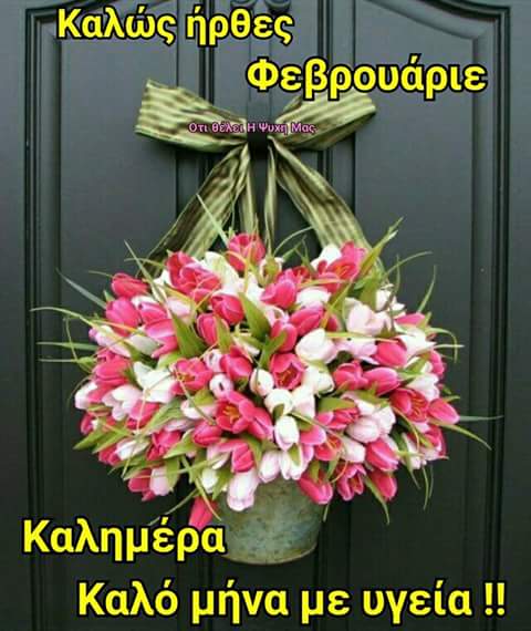 FB_IMG_1517476714275.jpg