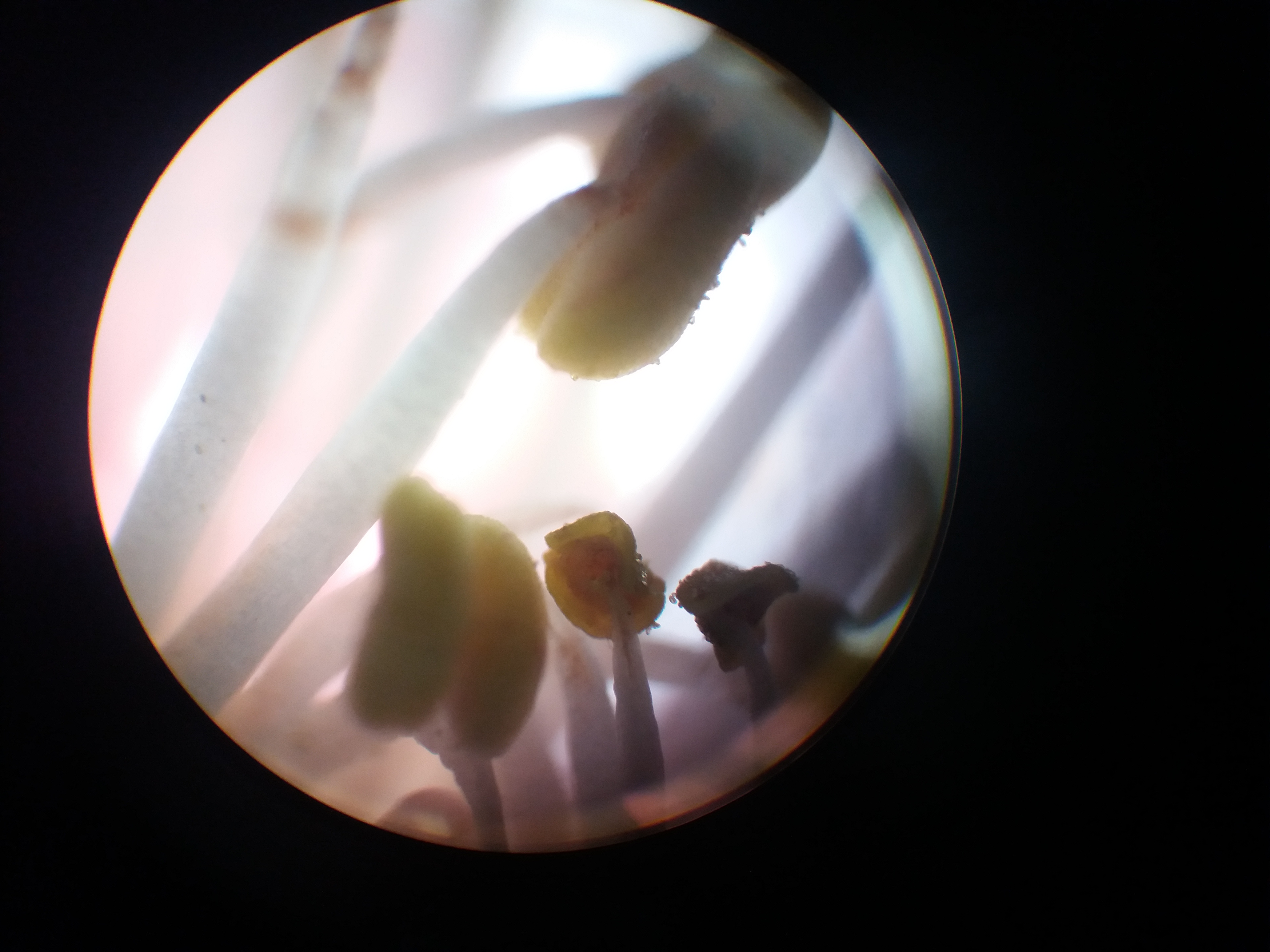 20180309_170230.jpg