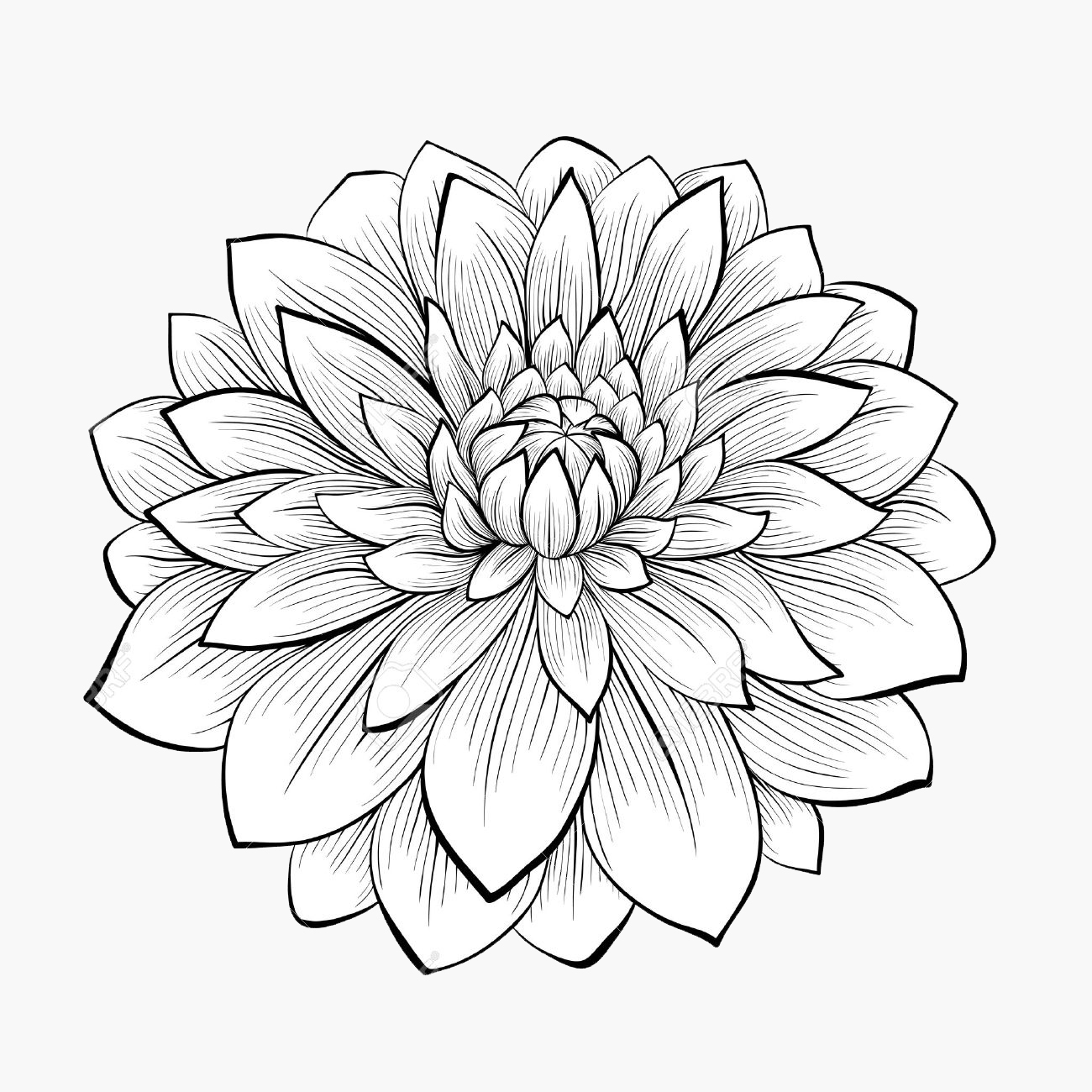 flower.jpg