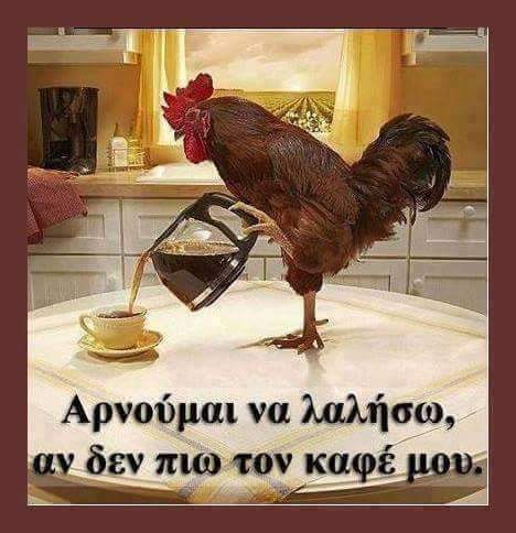 FB_IMG_1524219280055.jpg