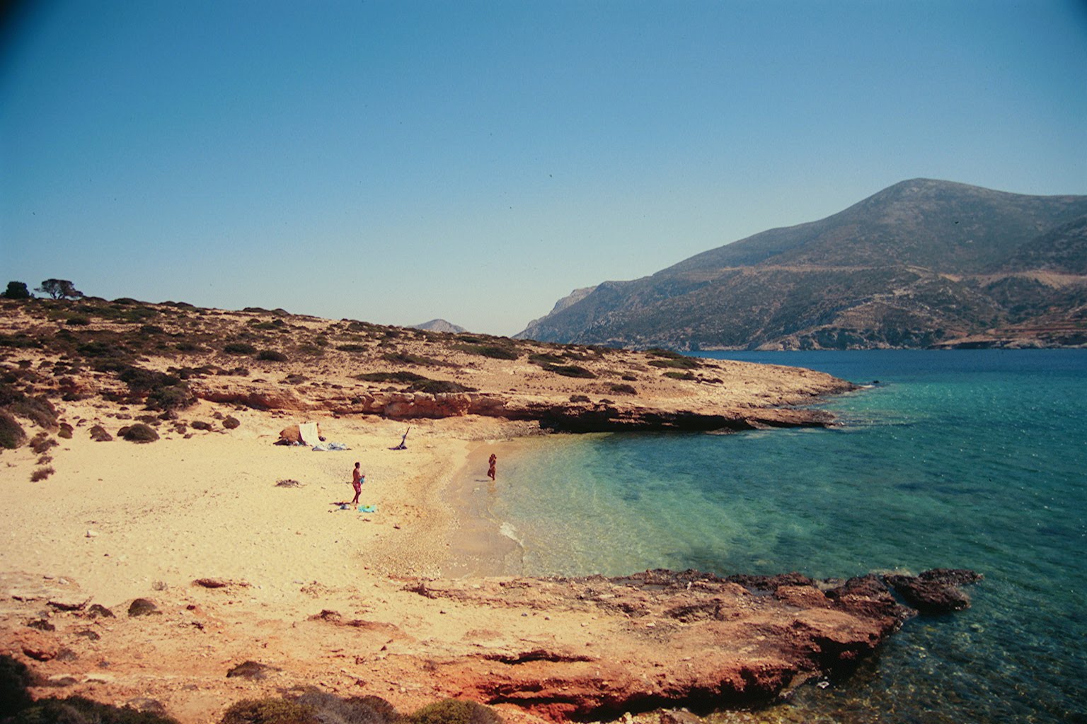 6b.jpg