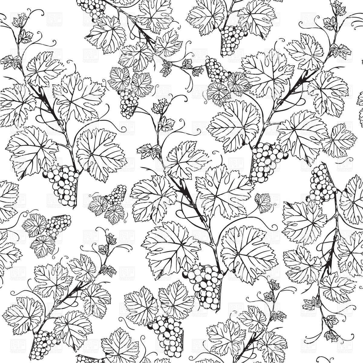 wine-grapes-drawing-17.jpg