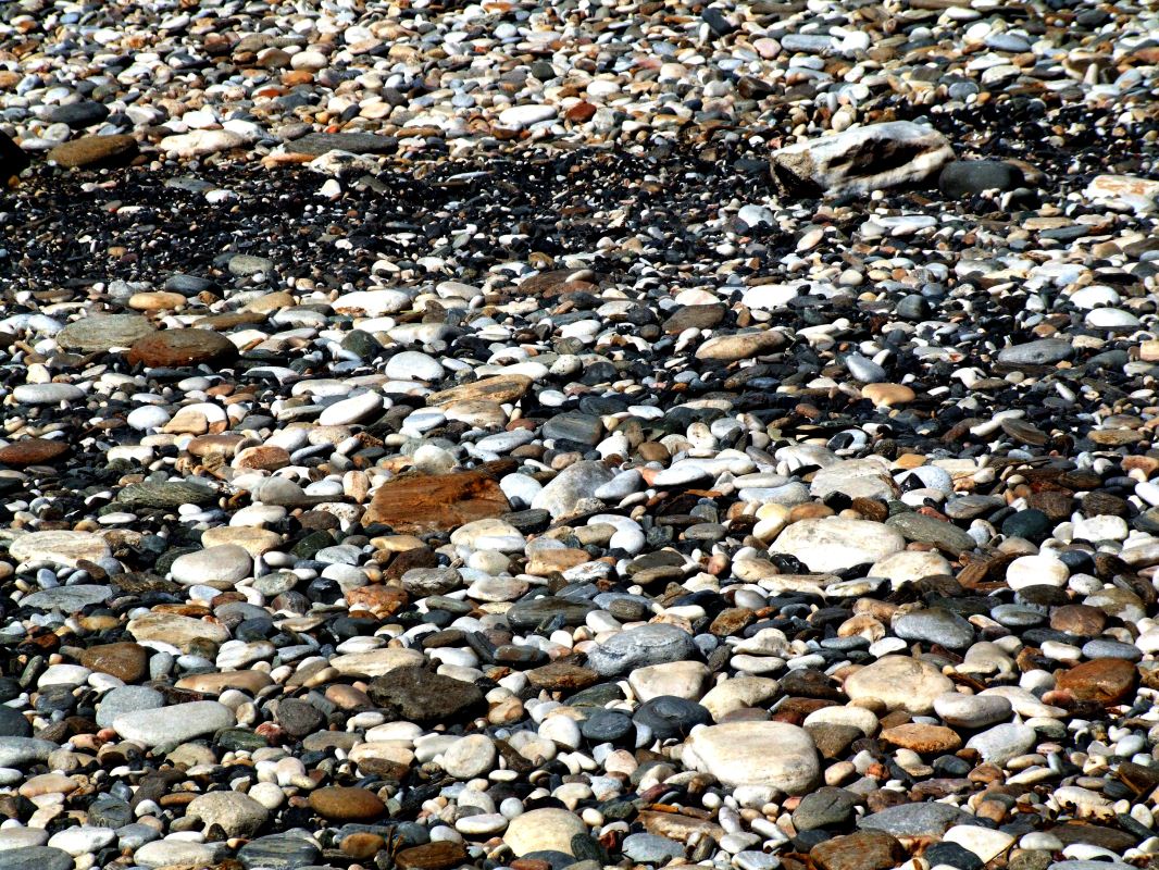 2007_03010010.JPG