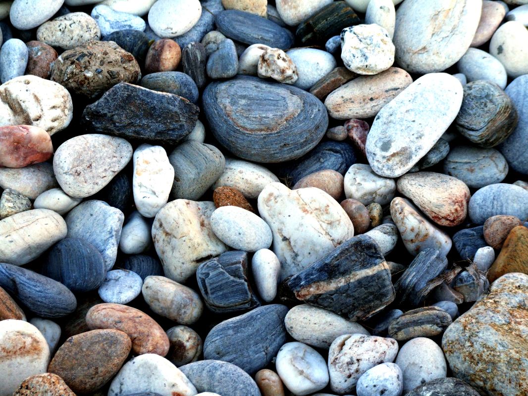 2007_03010050.JPG