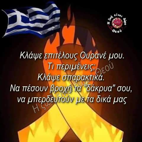 FB_IMG_1532418781339.jpg