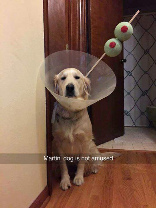 FB_IMG_1452718111892.jpg