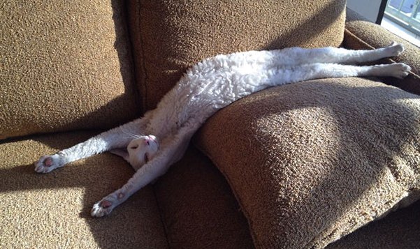 gati.jpg