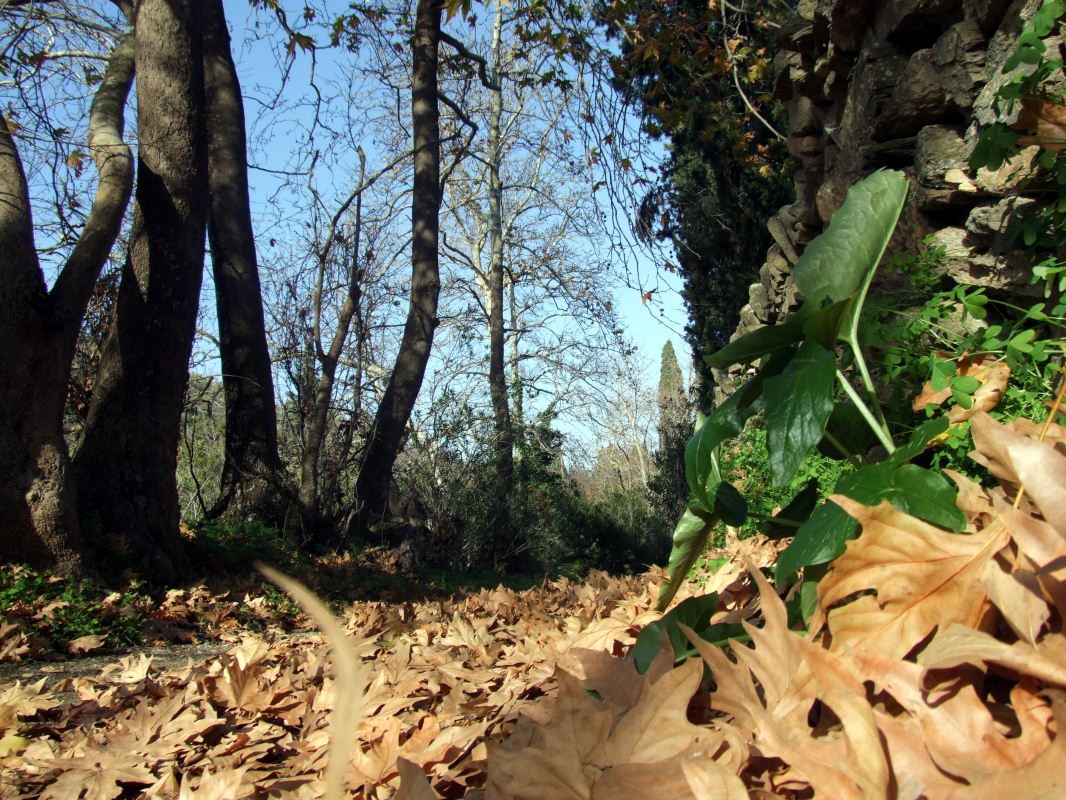 DSCF0358.jpg