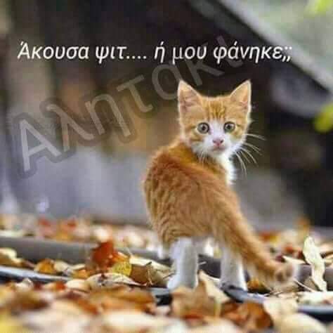FB_IMG_1538646306779.jpg
