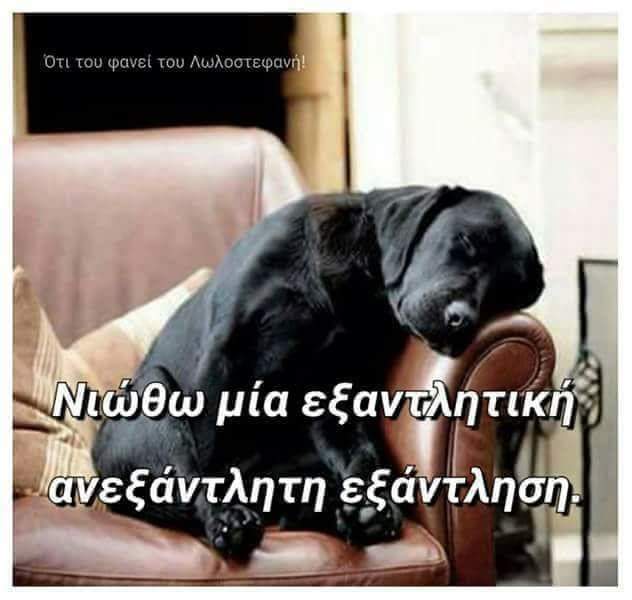 FB_IMG_1536850861873.jpg