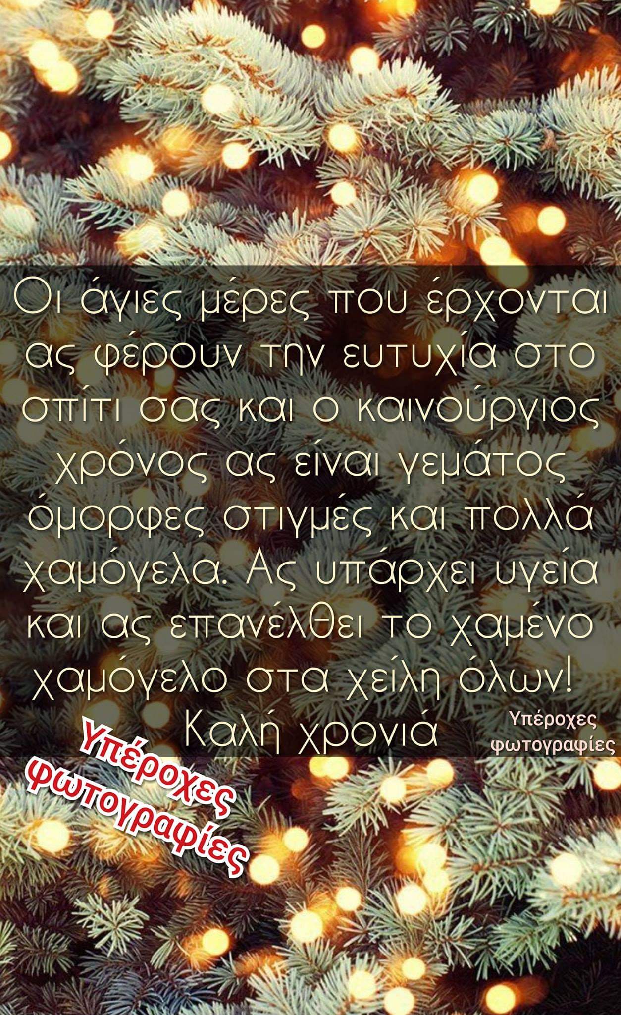FB_IMG_1546241878002.jpg