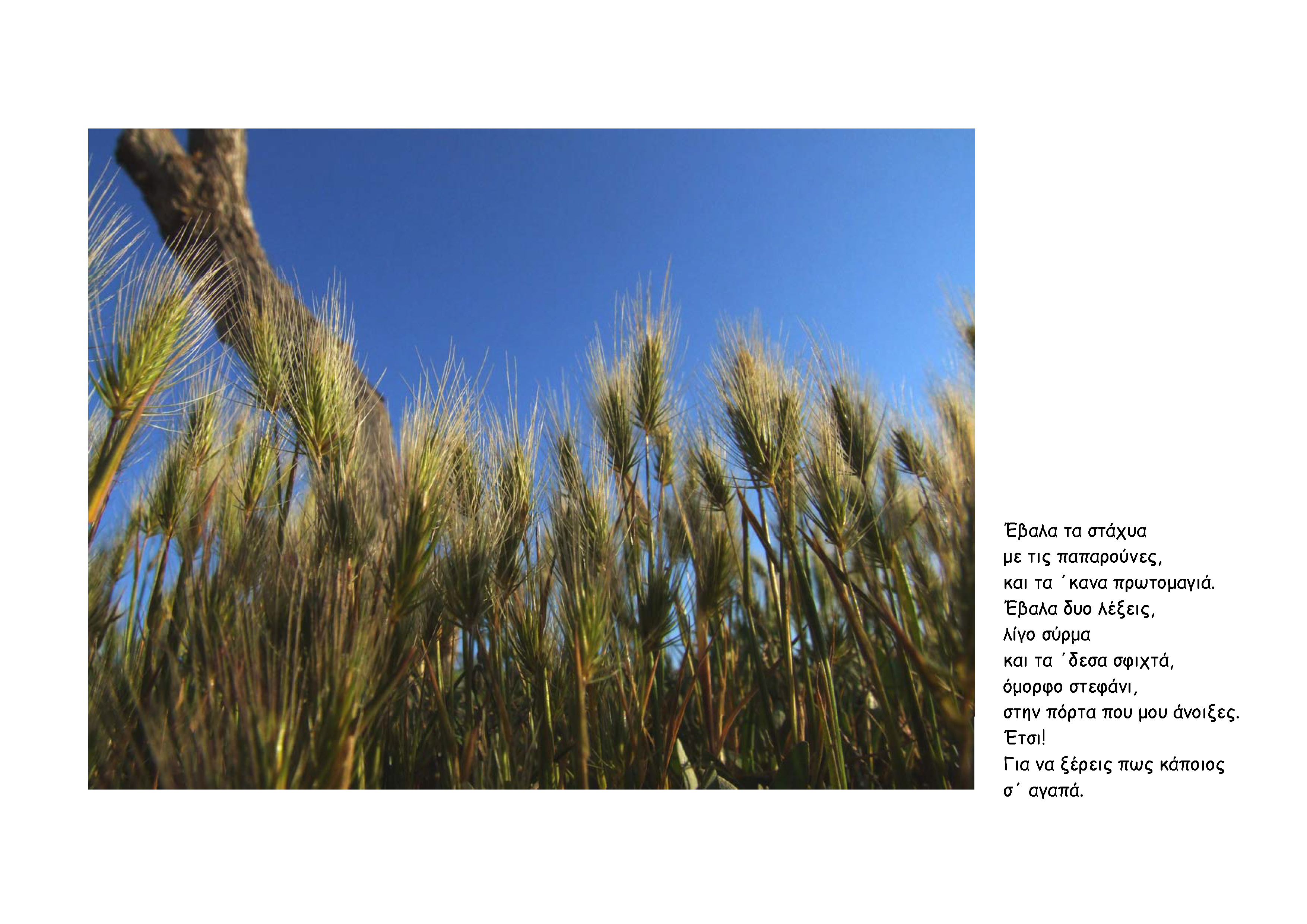 Λεύκωμα Εκποίηση HD_Page_63.jpg