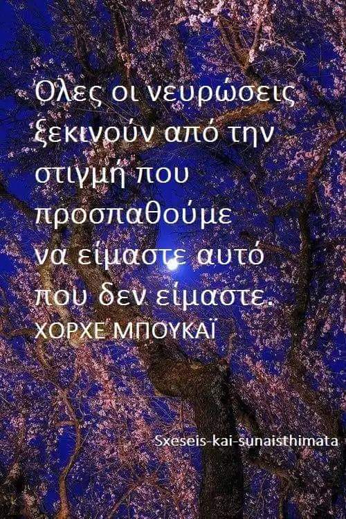 FB_IMG_1577185862706.jpg