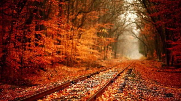 Autumn-wallpaper-14-610x343.jpg