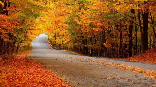 Autumn-wallpaper-28-610x343.jpg