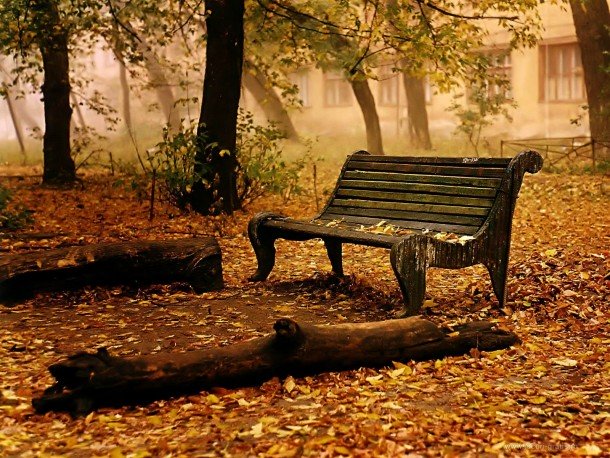 fall-wallpaper-1-1-610x458.jpg