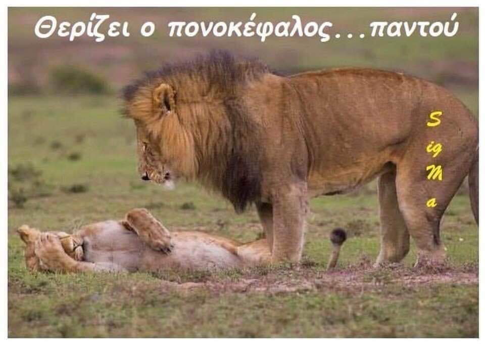 FB_IMG_1632156003986.jpg