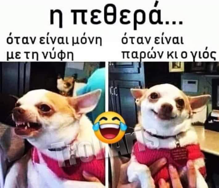 FB_IMG_1643742506179.jpg