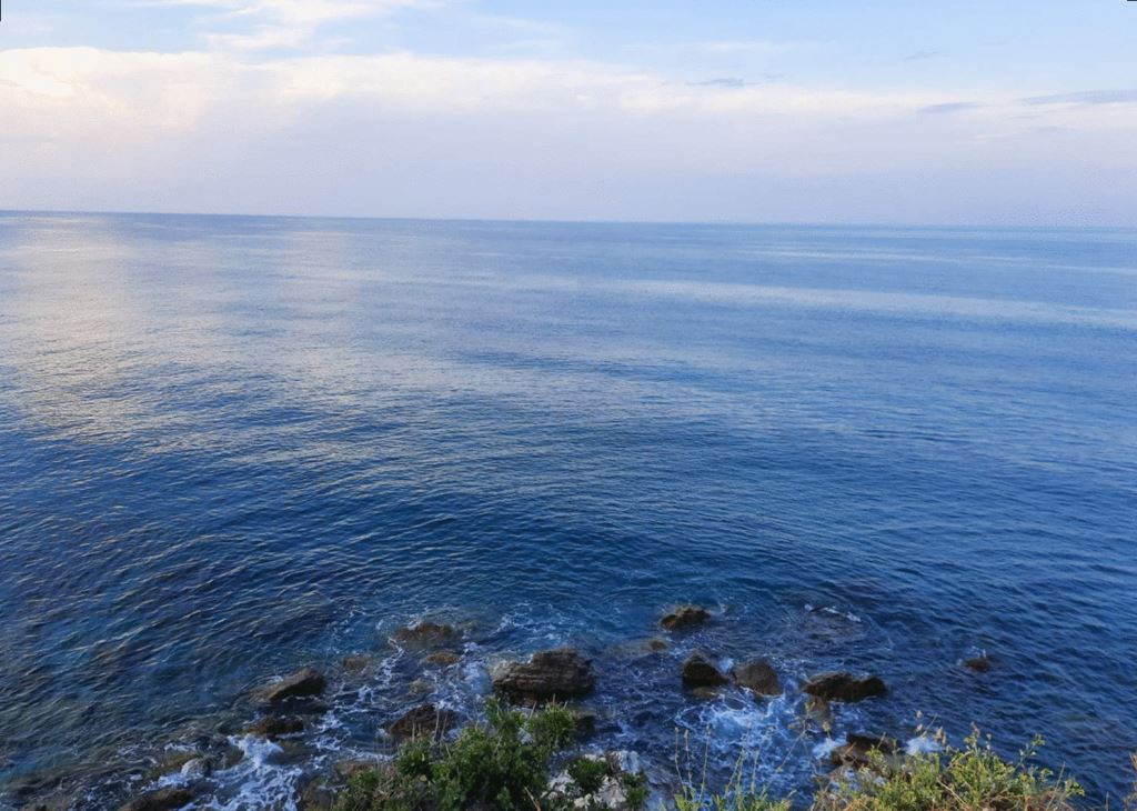 imageedit_4_8346199841 copy.jpg