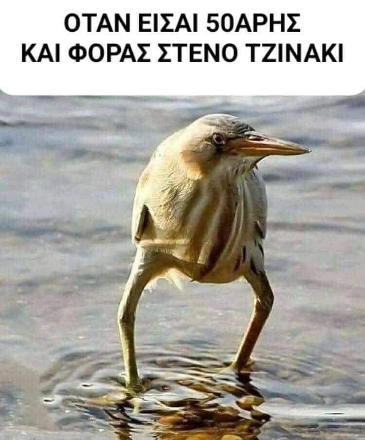 FB_IMG_1701723177247.jpg