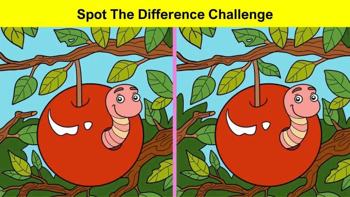 Spot-the-difference-challenge-min.jpg