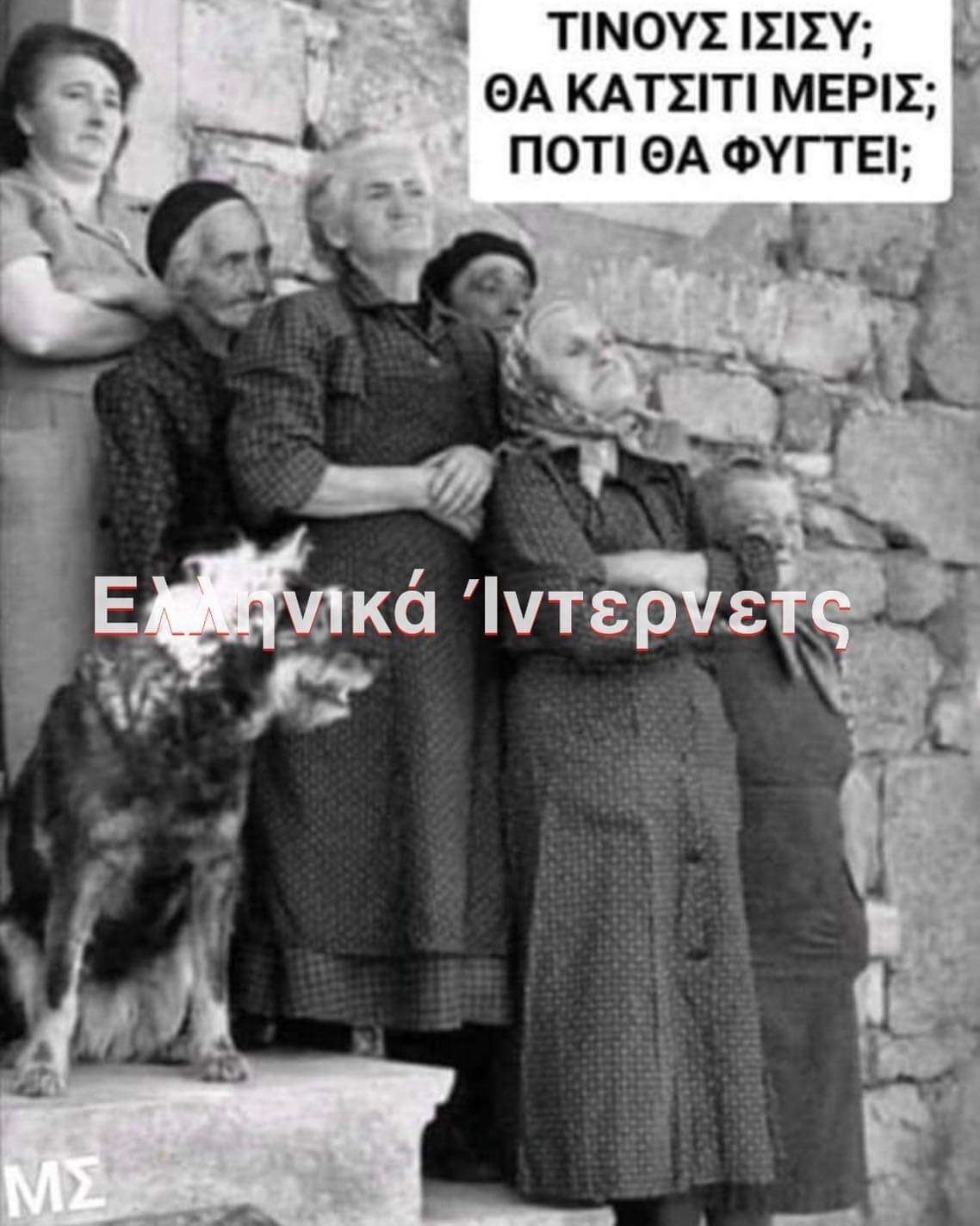 FB_IMG_1714987519742.jpg