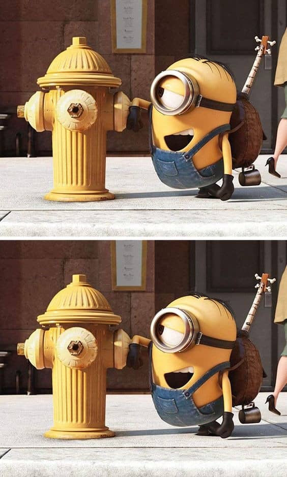 minion (2).jpg