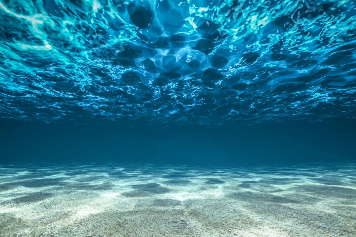 Underwater.jpg