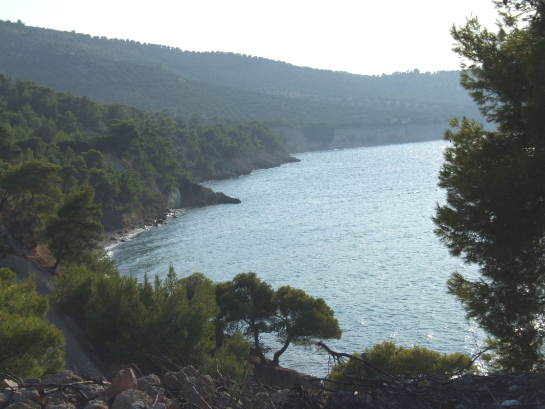 m2.JPG