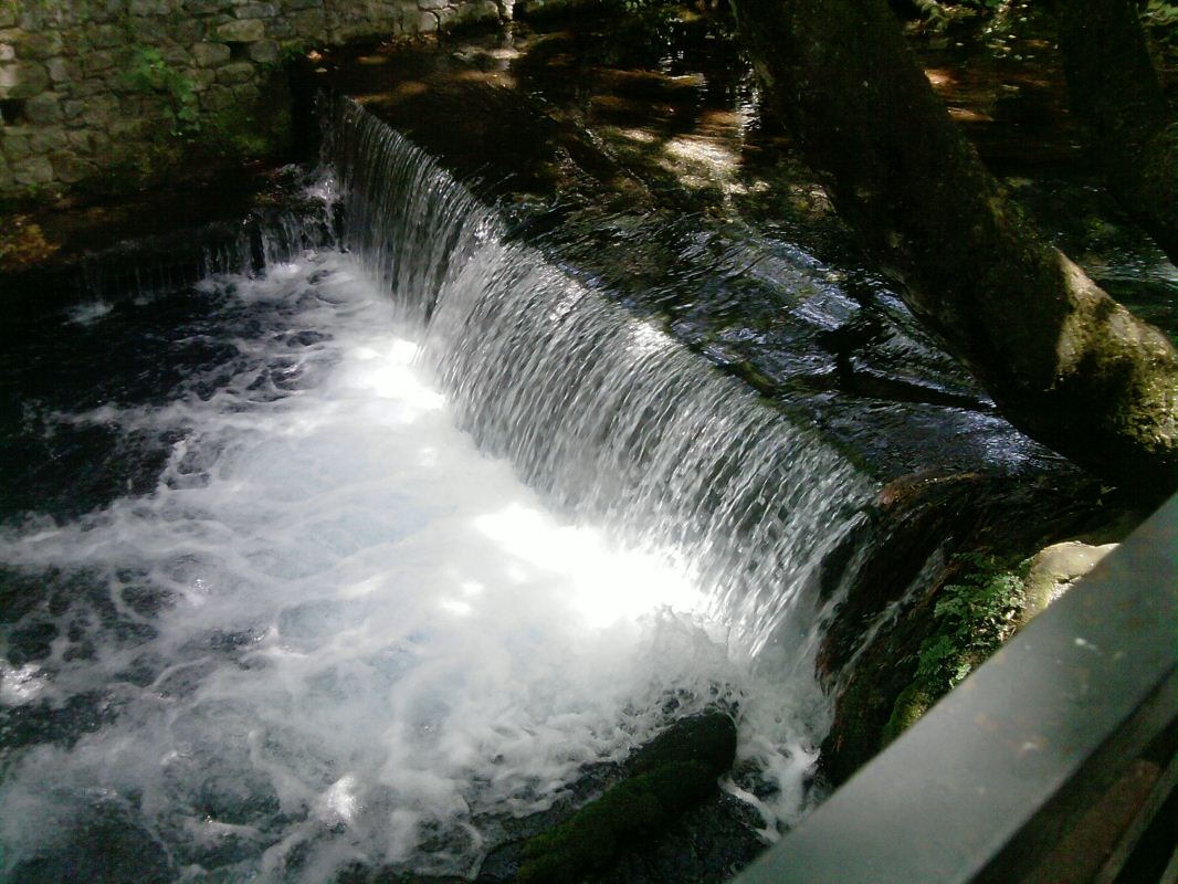 P300712_13.41.jpg