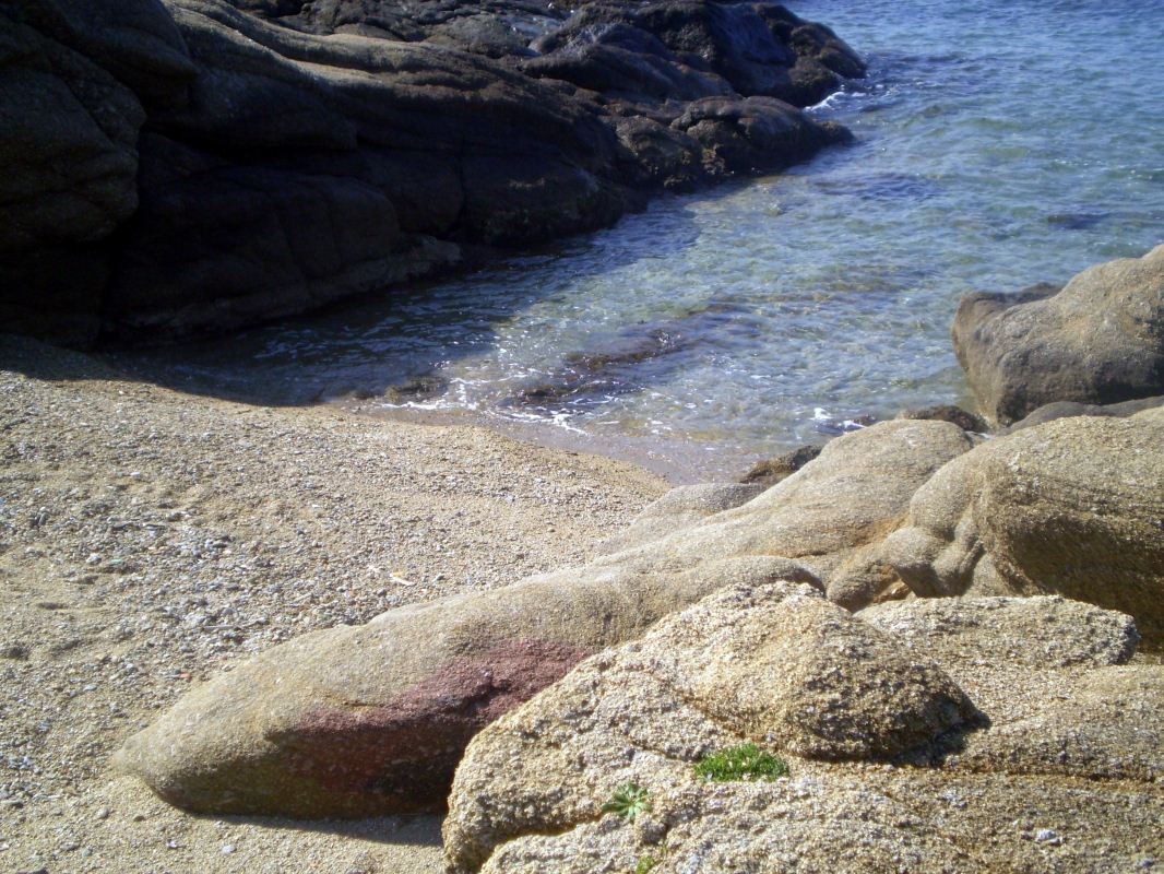 P2220022.JPG