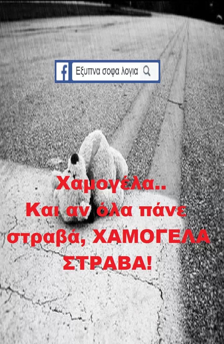 FB_IMG_1501154884930.jpg