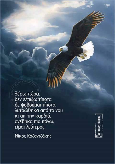 FB_IMG_1502480585201.jpg