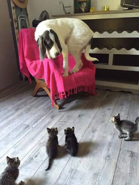 FB_IMG_1502636081409.jpg
